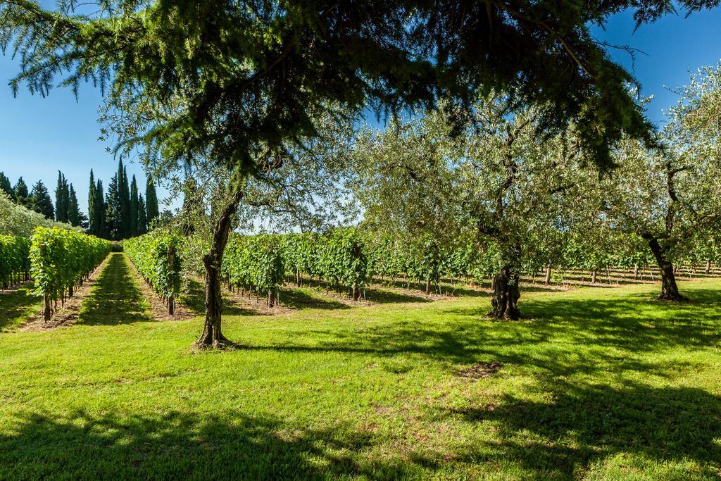 Quercia Belvedere Relais Μπαρντολίνο Εξωτερικό φωτογραφία